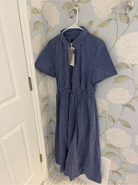 J. Crew Navy & Indigo Blue gingham Midi Dress